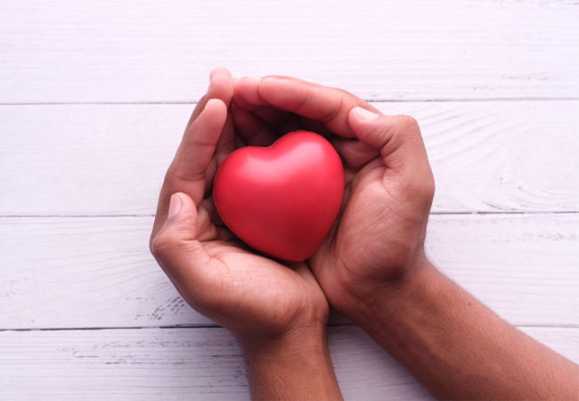 Xenotransplante visa a reduzir espera por doação de coração, rim, pele e córnea